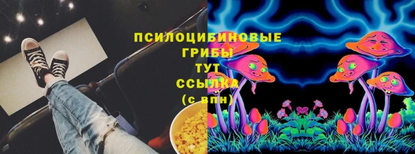 спиды Покачи
